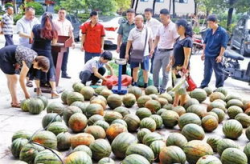 吃瓜社区,网络舆论场中的“瓜田”风云