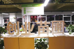 郑州高新区鲜花店,浪漫之花，温馨送达