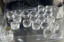 嫦娥六号告捷完工使命美国布置多年的登月对象被其争先竣工巨大成绩加快呈现科技改进发伸开拓簇新赛谈（嫦娥最新资讯-快科技--改革将来） ，蓝颜gtv男男视频 - 蓝颜gtv男男视频官方老版本下载V