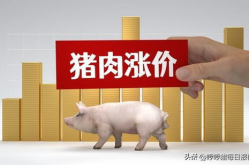 6月29日猪价,供需博弈下的市场动态”