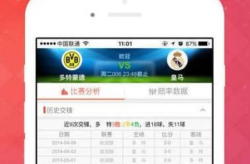福利彩票查询,查询背后的故事与数据解析