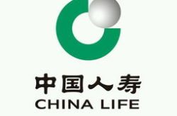 中国人寿官网,构建多元化保险体系，助力国家战略与民生保障”